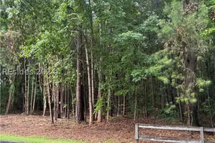 51 Graham Hall, Ridgeland, SC 29936 - Photo 1