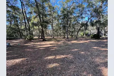 1 Buttonbush Lane, Hilton Head Island, SC 29926 - Photo 1