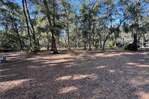 1 Button Bush Ln, Hilton Head Island, SC 29926 - Photo 1
