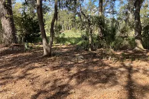 62 Bear Creek Dr, Hilton Head Island, SC 29926 - Photo 1