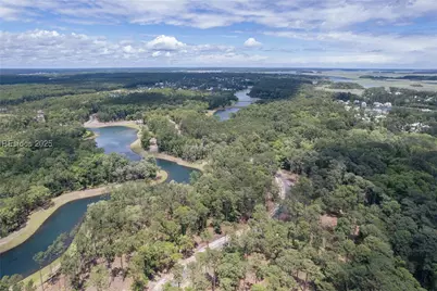 37 Inkberry Street, Bluffton, SC 29910 - Photo 1