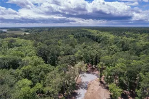 49 Inkberry St, Bluffton, SC 29910 - Photo 1