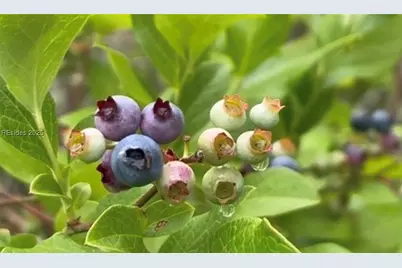 321 Sisters Ferry Road, Ridgeland, SC 29936 - Photo 1