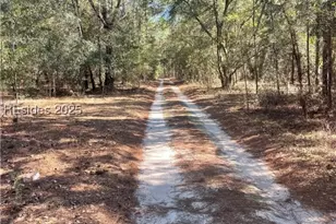 Tbd Stock Farm Rd, Ridgeland, SC 29936 - Photo 1