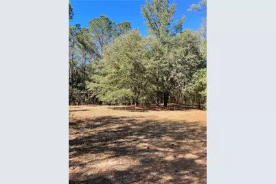 D Stock Farm Road, Ridgeland, SC 29936 - Photo 1