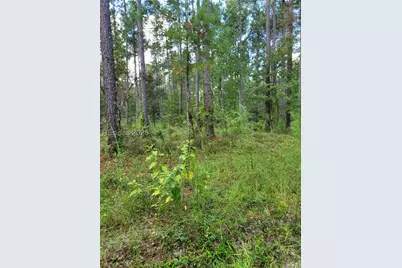Tbd Tina Manker, Ridgeland, SC 29936 - Photo 1