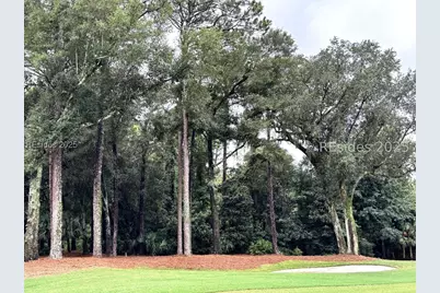 406 Long Cove Drive, Hilton Head Island, SC 29928 - Photo 1