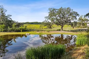 56 Jonesville Rd, Hilton Head Island, SC 29926 - Photo 1