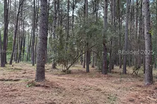 464 Paige Point Bluff, Seabrook, SC 29940 - Photo 1