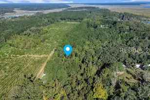 Parcel Ab Knowles Island Rd, Ridgeland, SC 29936 - Photo 1