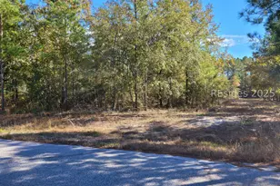 Tbd Beaver Creek Pl, Ridgeland, SC 29936 - Photo 1