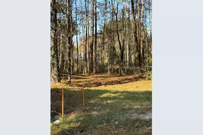 000 Main Street W, Ridgeland, SC 29936 - Photo 1