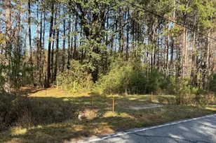 7062 Main Street W, Ridgeland, SC 29936 - Photo 1