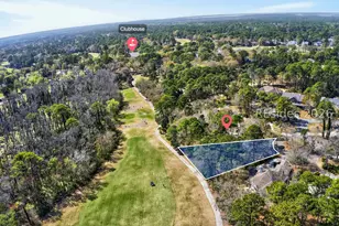 4 Gordonia Tree Ct, Hilton Head Island, SC 29926 - Photo 1