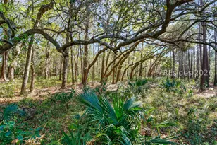 1 Canters Ct, Bluffton, SC 29910 - Photo 1