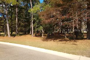 102 Blessing Dr, Bluffton, SC 29909 - Photo 1