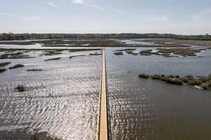 104 Barnaby Blf, Seabrook, SC 29940 - Photo 3