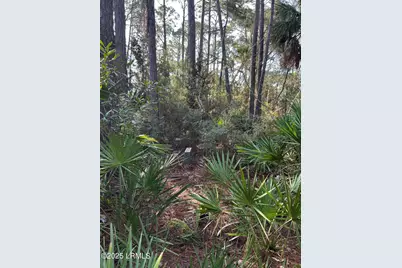 16 Lakeview Lane, Harbor Island, SC 29920 - Photo 5