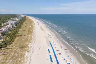 17 Bridgeport Ln, Hilton Head Island, SC 29928 - Photo 65