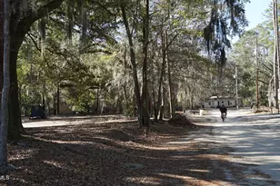 109 Crosby St, Walterboro, SC 29488 - Photo 7