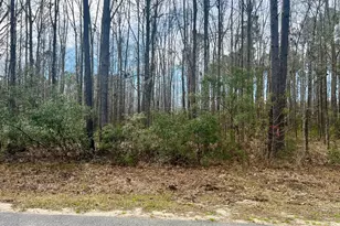 112 Founders Oak Wy, Yemassee, SC 29945 - Photo 3