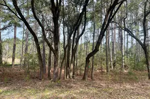 237 Founders Oak Wy, Yemassee, SC 29945 - Photo 5