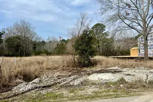 127 Chicora Ln, Yemassee, SC 29945 - Photo 3