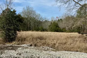 127 Chicora Ln, Yemassee, SC 29945 - Photo 5