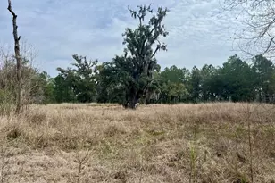 413 Somerset Dr, Yemassee, SC 29945 - Photo 9