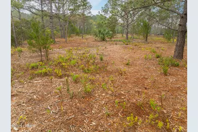 Tbd J. Stephens Path, Saint Helena Island, SC 29920 - Photo 13