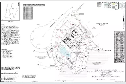 307 Deer Pointe Court, Fripp Island, SC 29920 - Photo 7