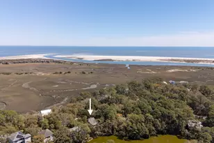 22 Ocean Marsh Ln, Harbor Island, SC 29920 - Photo 39