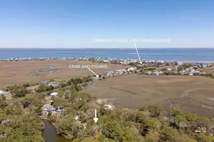 22 Ocean Marsh Ln, Harbor Island, SC 29920 - Photo 41