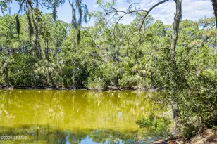 22 Ocean Marsh Ln, Harbor Island, SC 29920 - Photo 59