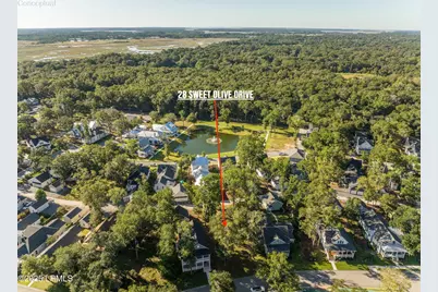 28 Sweet Olive Drive, Beaufort, SC 29907 - Photo 11