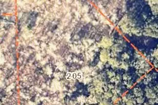 0 Dulamo Rd, Saint Helena Island, SC 29920 - Photo 1