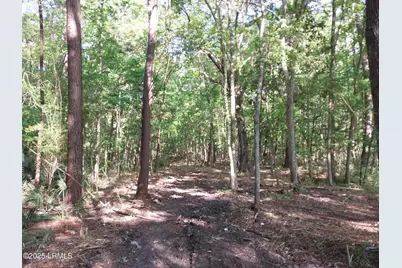 Tbd Charleston Highway, Sheldon, SC 29941 - Photo 11