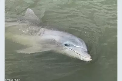 185 Distant Island Drive, Beaufort, SC 29907 - Photo 23