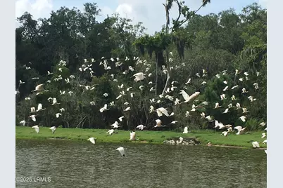 205 Distant Island Drive, Beaufort, SC 29907 - Photo 19