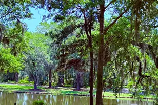 30 Oak Pond Passage, Beaufort, SC 29906 - Photo 1