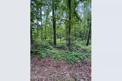 Tbd Confederate Highway, Fairfax, SC 29827 - Photo 7