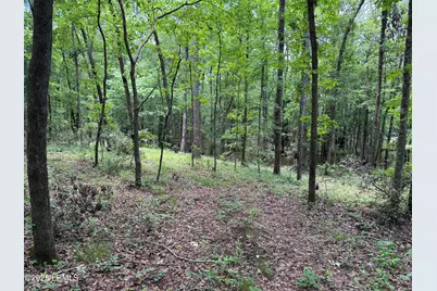 Tbd Confederate Highway, Fairfax, SC 29827 - Photo 11