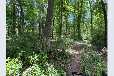 Tbd Confederate Highway, Fairfax, SC 29827 - Photo 3