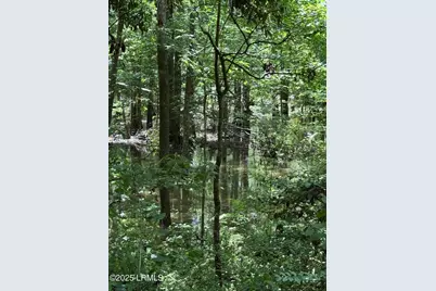 Tbd Confederate Highway, Fairfax, SC 29827 - Photo 5