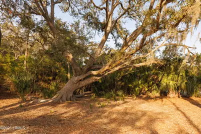 14 Vista Boulevard W, Saint Helena Island, SC 29920 - Photo 21