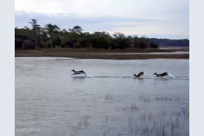 775 Distant Island Drive, Beaufort, SC 29907 - Photo 13
