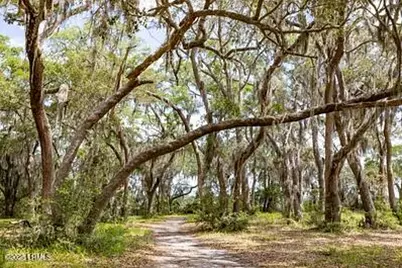 345 Distant Island Drive, Beaufort, SC 29907 - Photo 15