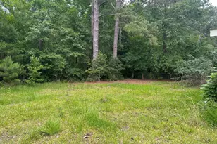 202 Sharon Ave, Hampton, SC 29924 - Photo 9