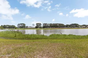 510 Dogwood Ln, Hardeeville, SC 29927 - Photo 3