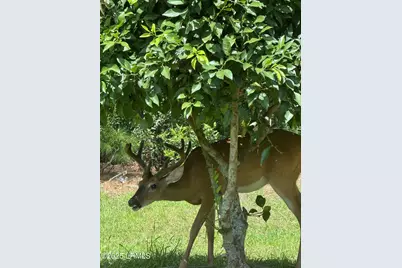 10 Screven Court, Bluffton, SC 29909 - Photo 39